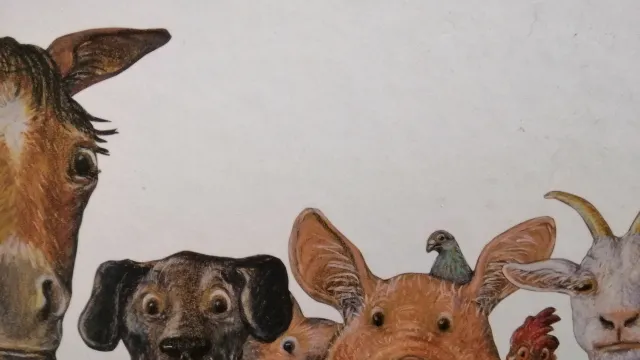 Nid nume nett (Foto: ab Bilderbuch) Nid nume nett (Foto: ab Bilderbuch)