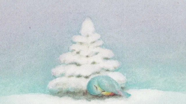 Tannenbaum (Foto: Undine Gellner) Tannenbaum (Foto: Undine Gellner)