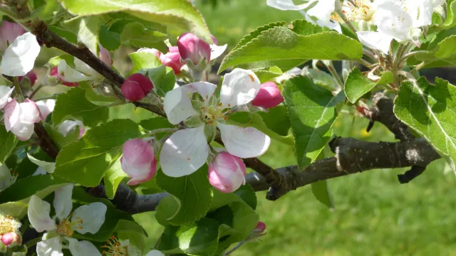 2014-04-20 13.05.03 (Foto: Undine Gellner) 2014-04-20 13.05.03 (Foto: Undine Gellner)