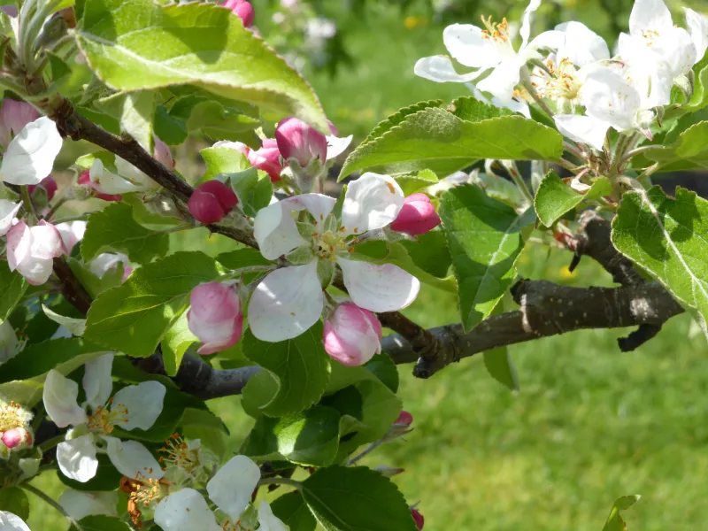 2014-04-20 13.05.03 (Foto: Undine Gellner) 2014-04-20 13.05.03 (Foto: Undine Gellner)