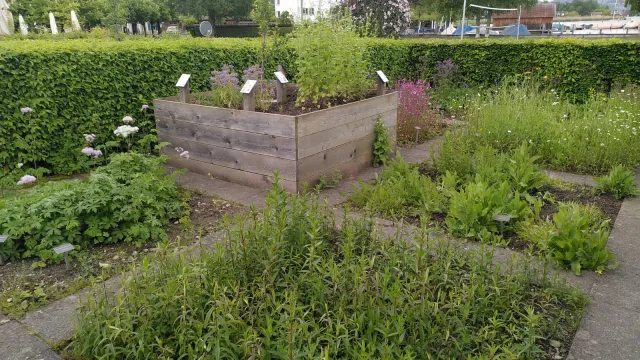 Schaugarten Pfäffikon (Foto: Anna Heijkoop) Schaugarten Pfäffikon (Foto: Anna Heijkoop)