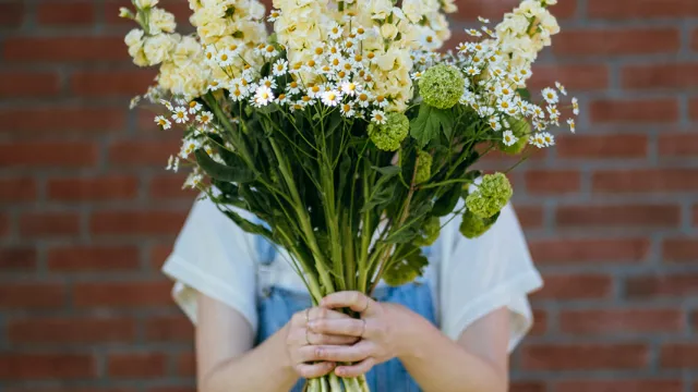 Flowerpower (Foto: theneutralstudio) Flowerpower (Foto: theneutralstudio)