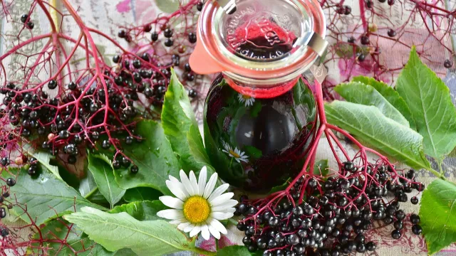 Einmachen (Foto: Pixabay) Einmachen — Einmachen mit Anna Heijkoop (Foto: Pixabay)