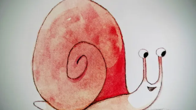 IMG_20251218_101835~2 (Foto: Salome Probst) IMG_20251218_101835~2 (Foto: Salome Probst)