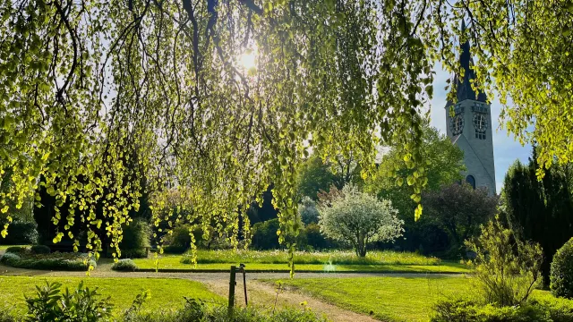 Friedhof_Frühling (Foto: Marco Bertschinger) Friedhof_Frühling (Foto: Marco Bertschinger)