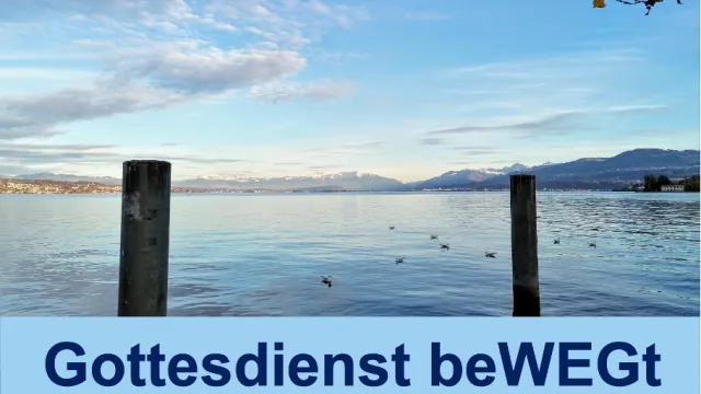 Zürisee gross (Foto: Salome Probst) Zürisee gross (Foto: Salome Probst)