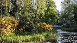 Park Seleger Moor (Foto: Web-Seite - Seleger Moor) Park Seleger Moor (Foto: Web-Seite - Seleger Moor)