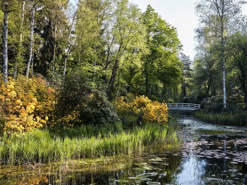 Park Seleger Moor (Foto: Web-Seite - Seleger Moor) Park Seleger Moor (Foto: Web-Seite - Seleger Moor)