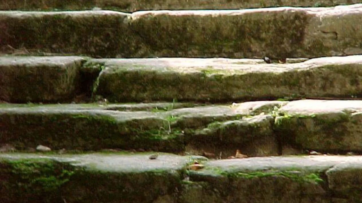 Alle Stufen nach oben (Foto: Kirchenweb Bilder) Alle Stufen nach oben (Foto: Kirchenweb Bilder)